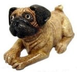 Pug